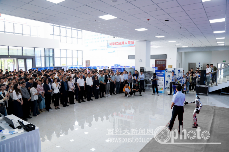 原来名称也丢了