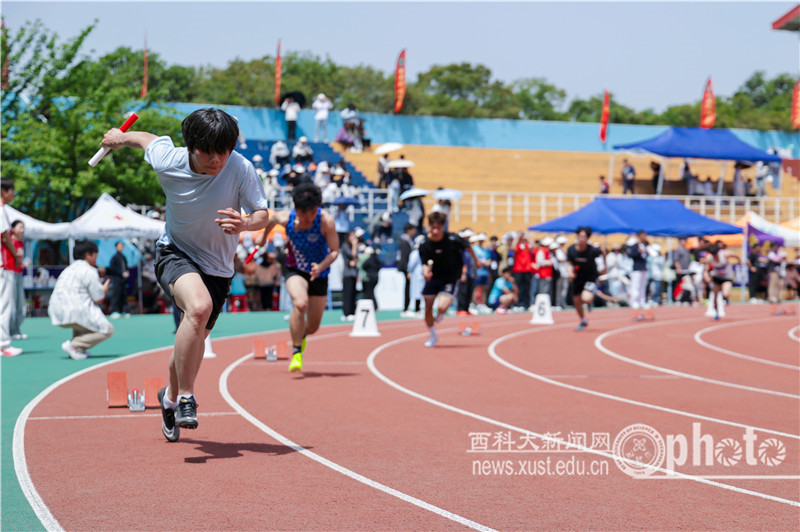 原来名称也丢了