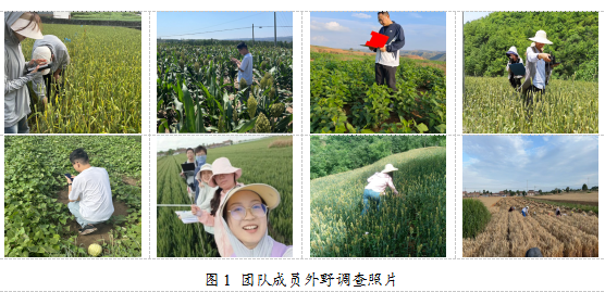 原来名称也丢了