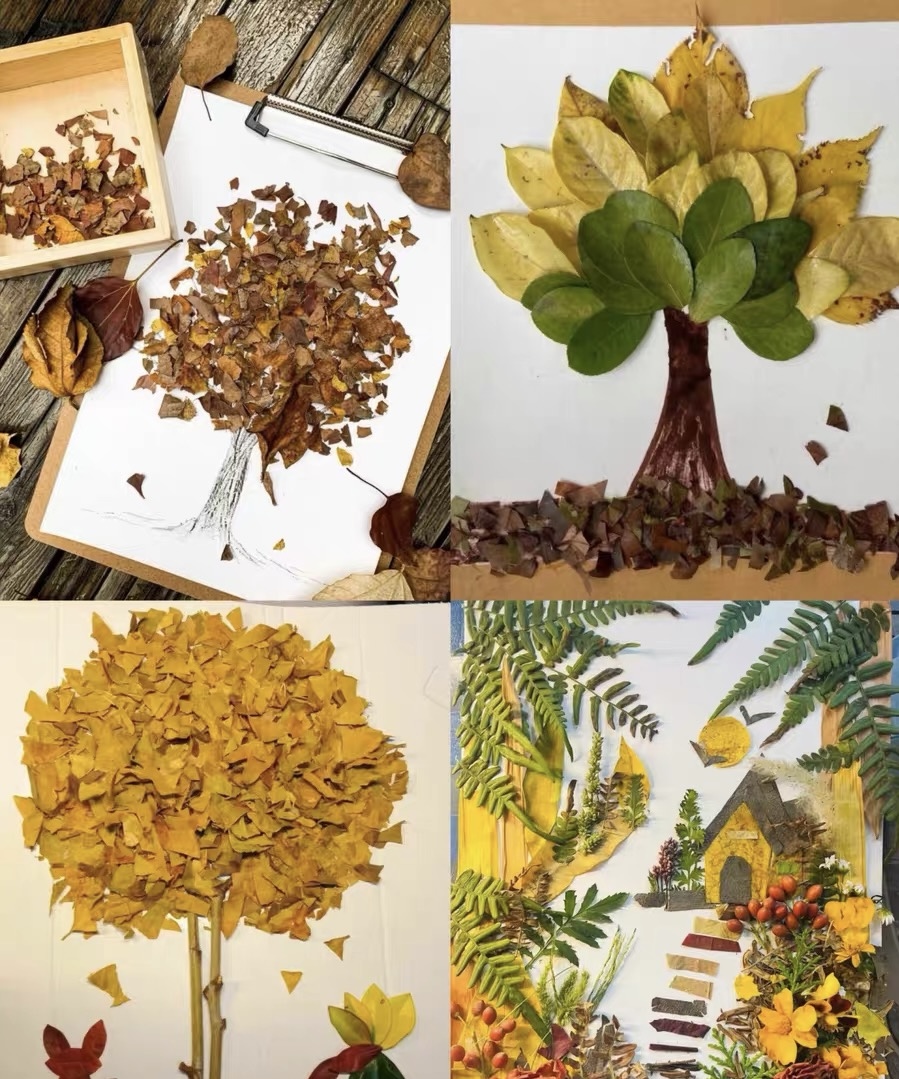 微信图片_20251117114323