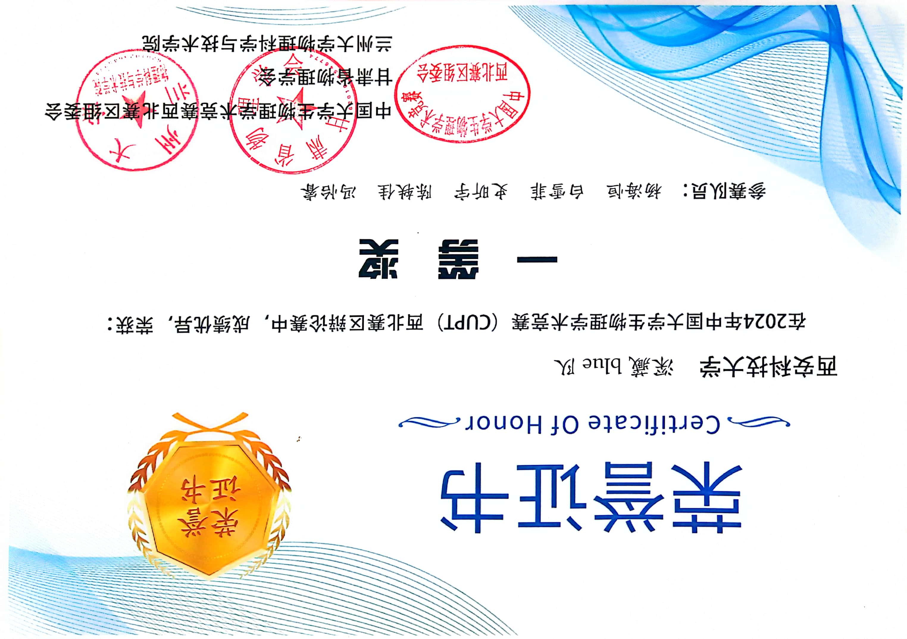 cupt团体辩论赛1队--西北赛一等奖